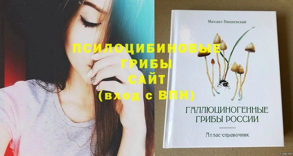 спиды Абинск